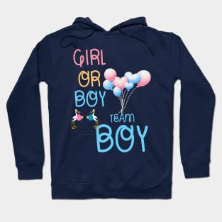 Boy or girl Hoodie